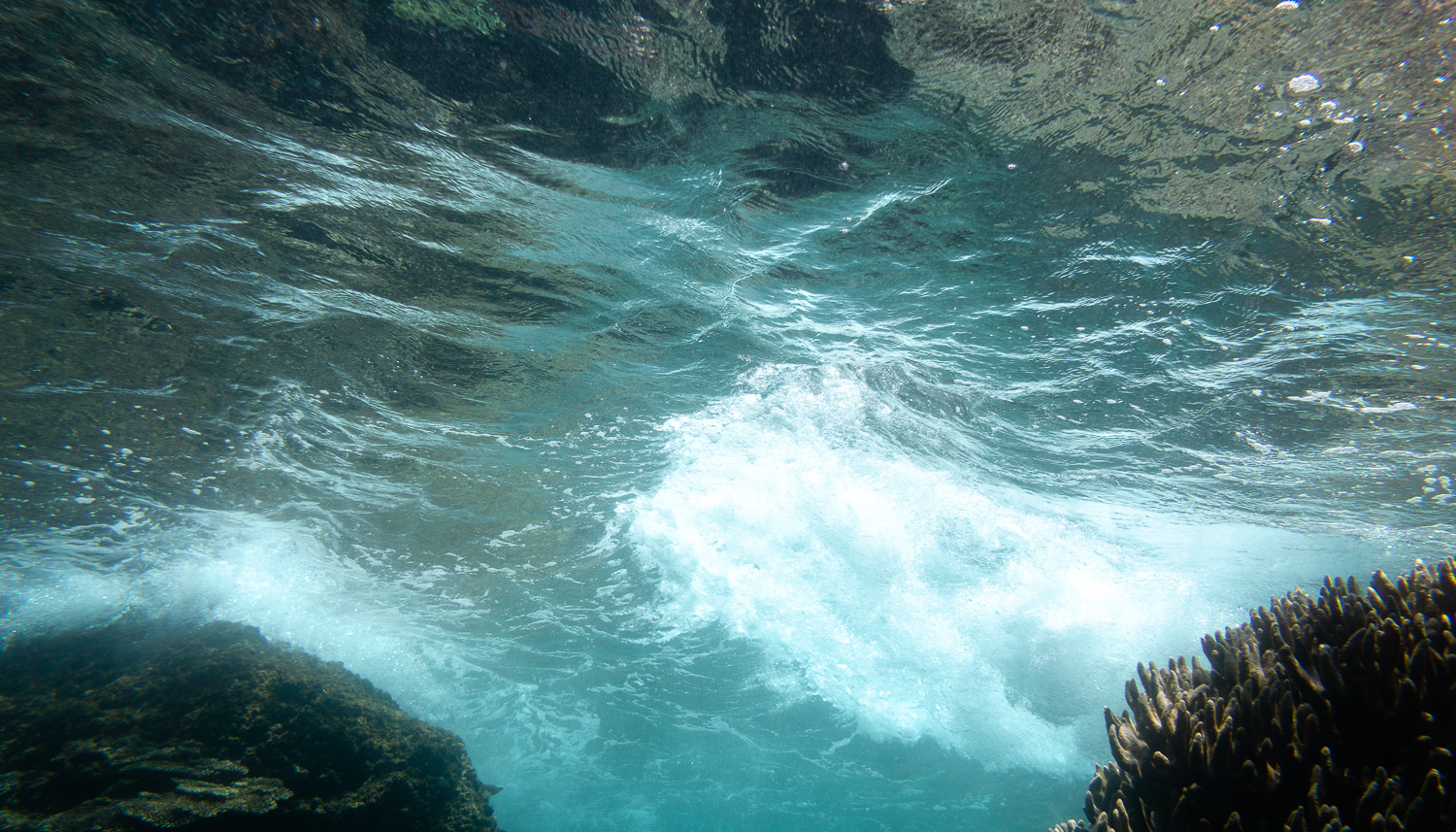 Komodo – Tatawa Kecil – The Surf From Below