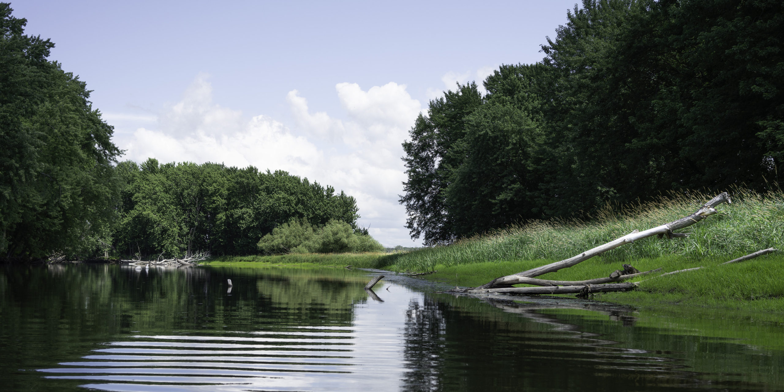 Vermont – Missisquoi River Delta