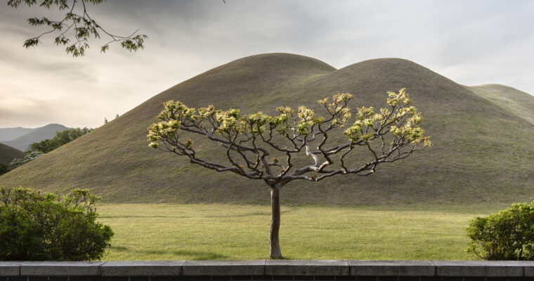 Korea – Gyeongju – Silla Tumuli