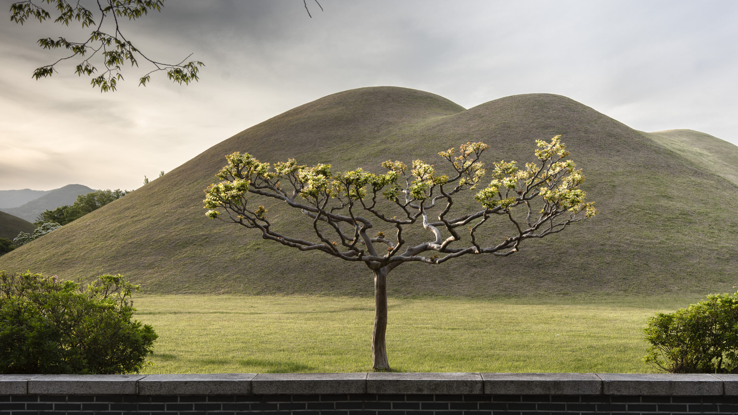 Korea – Gyeongju – Silla Tumuli